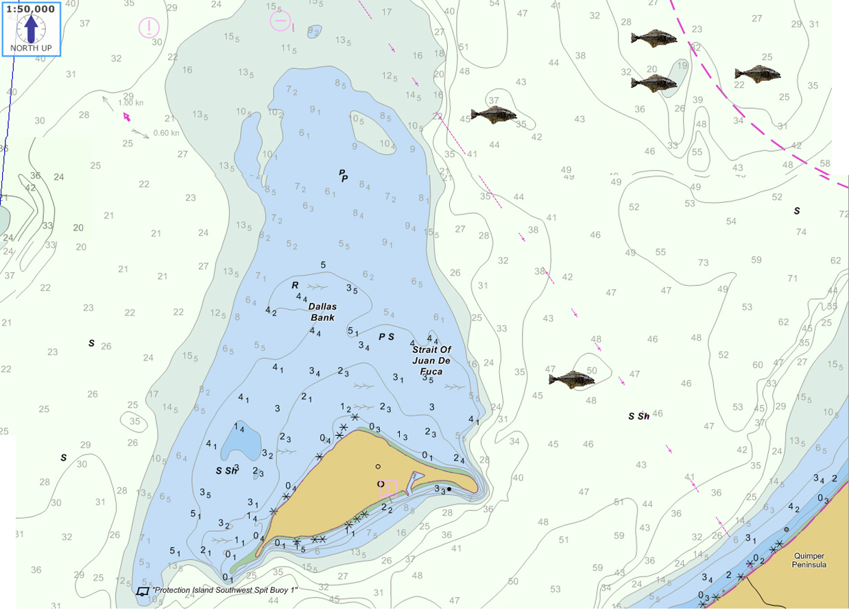 Protection Island Salmon Fishing Map For Ebb Tide