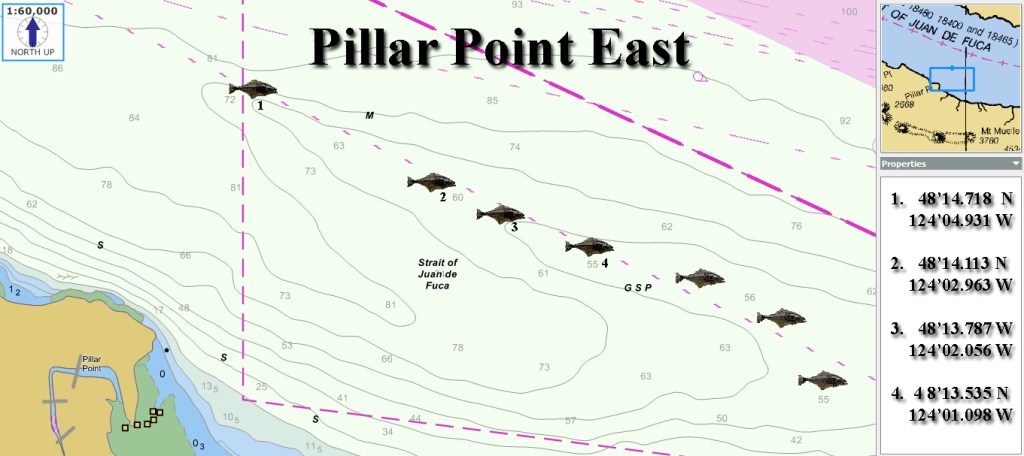 Hilal Fish Point Pillar Point Halibut Fishing Map | SquidPro Tackle's Halibut Fishing ...