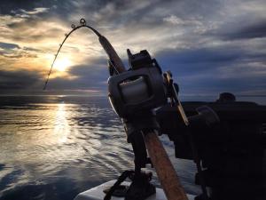 I watch for calm days of 5 knots of wind or less to fish Eastern Bank. Since Eastern Bank sits in the middle of the Strait of Juan de Fuca, extreme caution should be used when planning your trip to Eastern Bank. As you can see, Friday the 13th was a flat day here.
