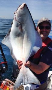 Why wait to go halibut fishing. I caught this halibut on the Canadian side of Coyote Bank the day before Washington opened.