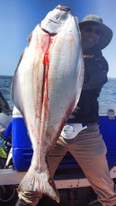 44 pound halibut taken on a FAT Squid on opening day in Washington's Strait of Juan de Fuca in Area 6